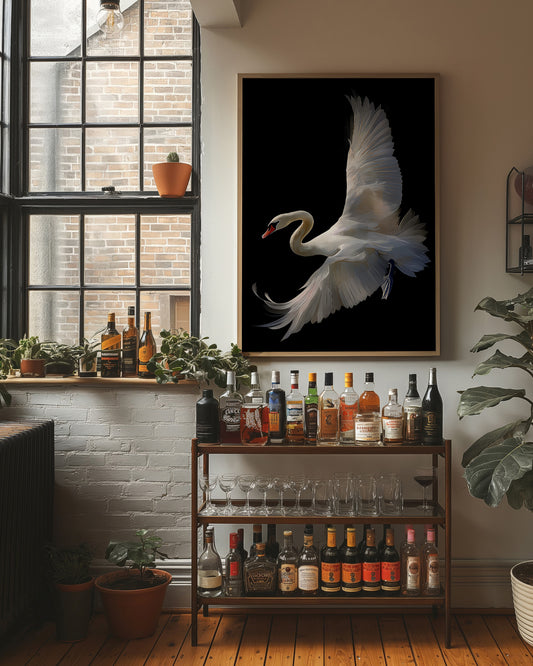 White Swan Graces The Night Bar