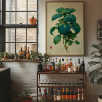 Basil Leaves Dance In Morning Light