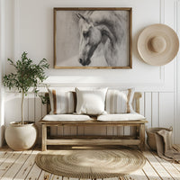 Equine Elegance in Charcoal Whispers