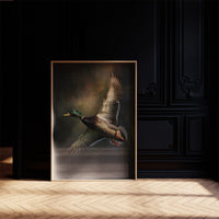 Mallard Rising On Bronze Air