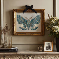 Azure Wings Among Leather Spines