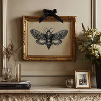 Vintage Moth Among Literary Spines