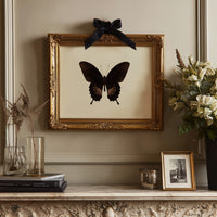 Dark Wings Against Ivory Canvas