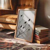 Ravens Perch On Winter Branches