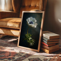 Lone Anemone Against Dark Depths