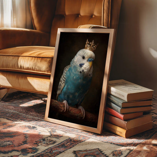 Royal Plumage In Midnight Court