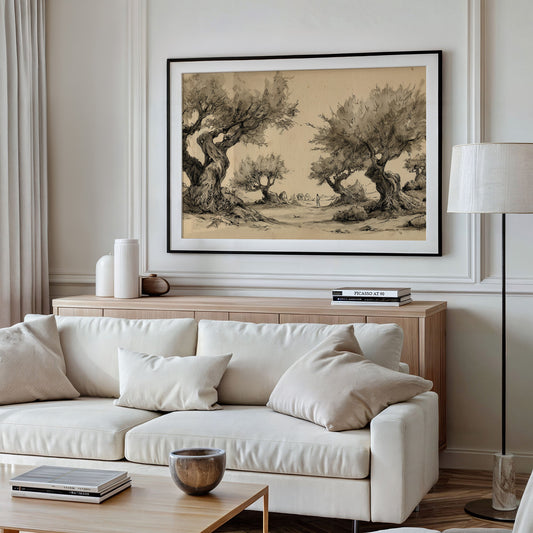 Ancient Olives Guard Distant Paths