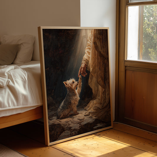 Faithful Companion Reaches For Light