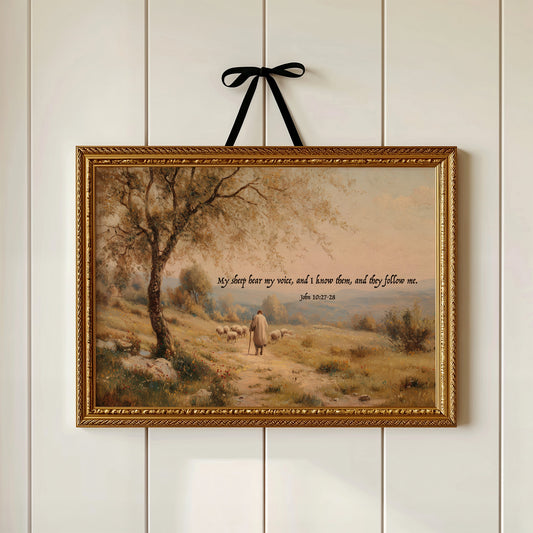 Shepherd's Path In Golden Light