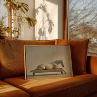 Equine Repose in Surreal Elegance