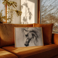 Equine Elegance in Charcoal Whispers