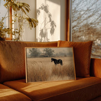 Ebony Horse in Amber Meadows