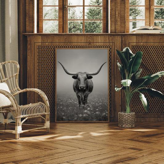 Longhorn's Steady Gaze Endures
