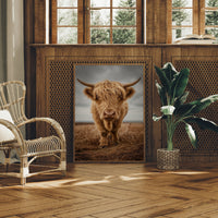 Highland Soul In Rustic Portrait
