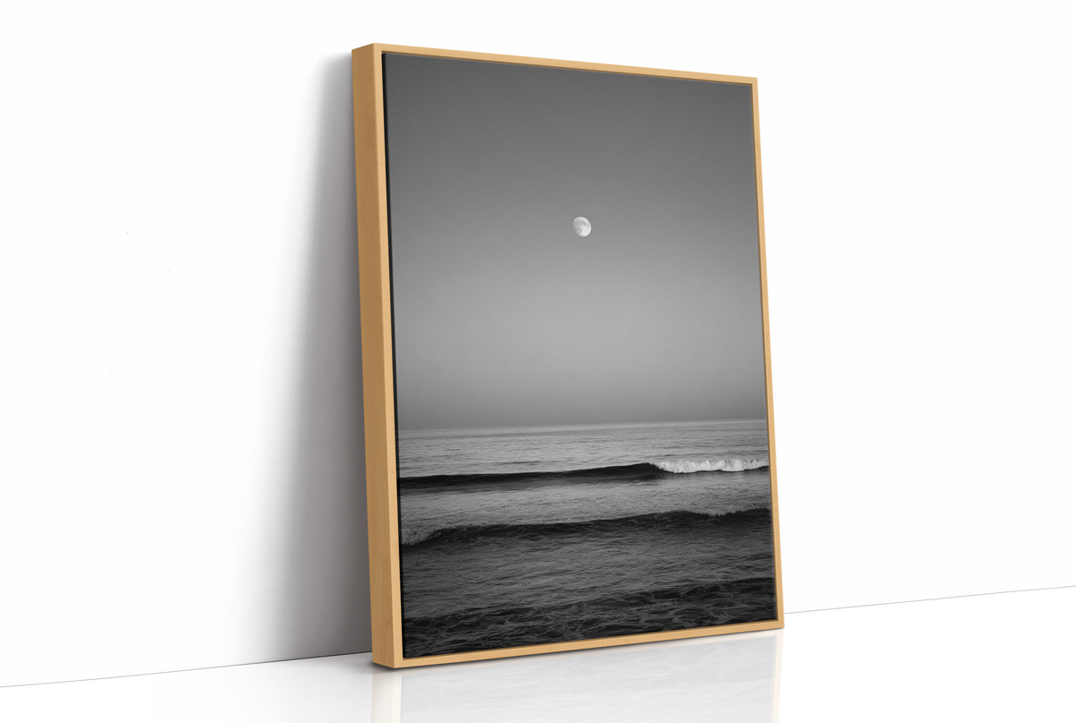 Moonlit Tide and Quiet Reflections