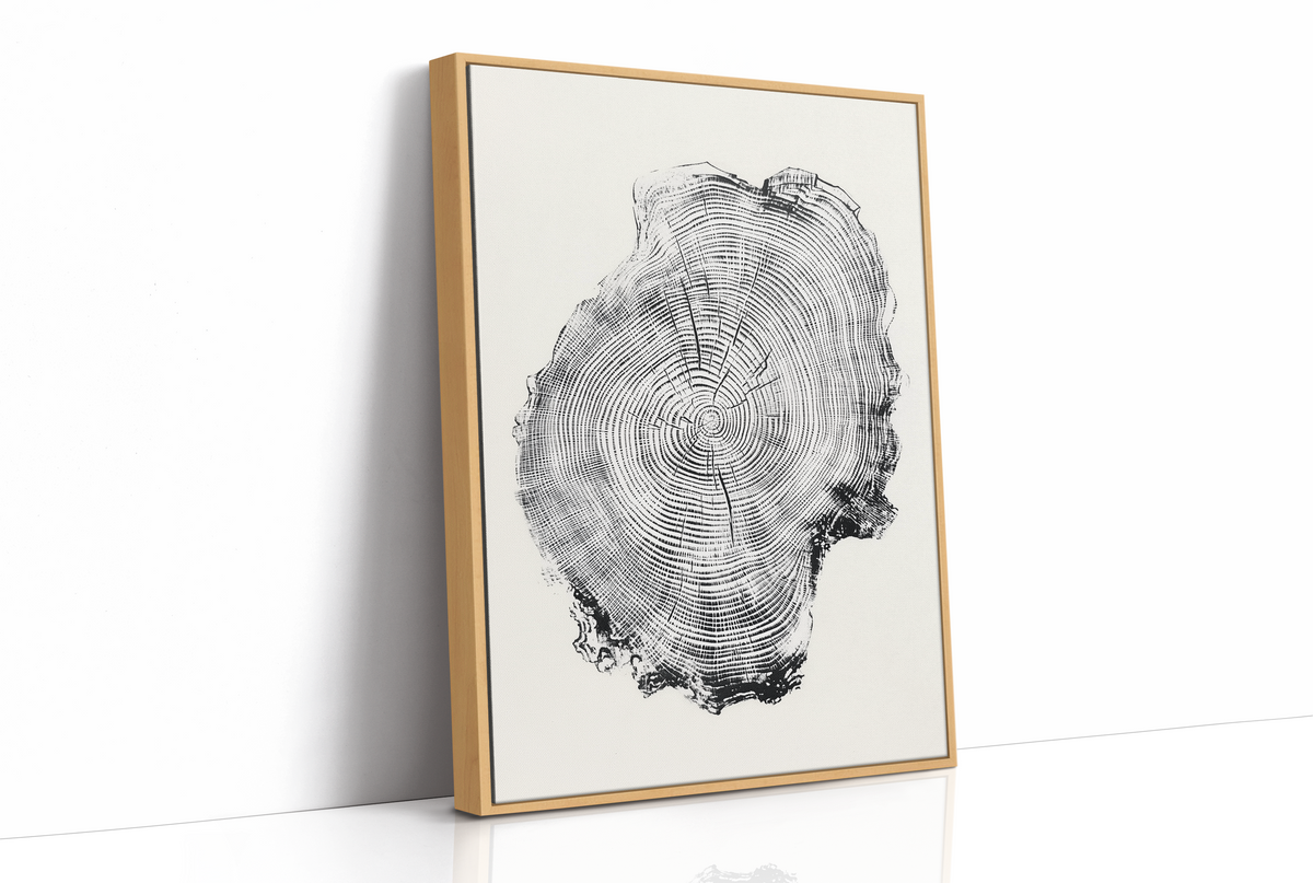 Time Circles Dance In Black