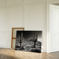 Sentinels of the Sonoran
