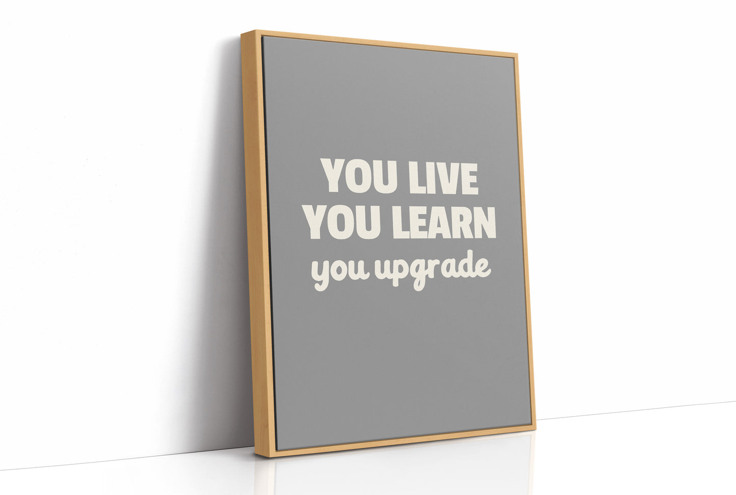 You Live You Learn You Upgrade