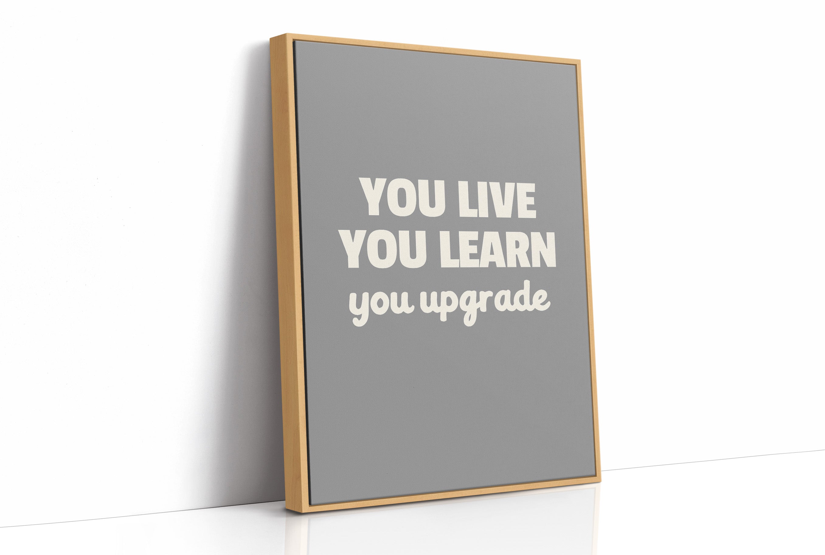 You Live You Learn You Upgrade
