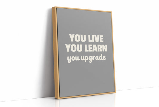 You Live You Learn You Upgrade