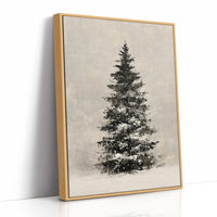 Snow-Laden Fir, Oil Study