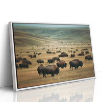Prairie Kings Roam Ancient Ground