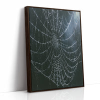 Dew-Kissed Web at Dusk