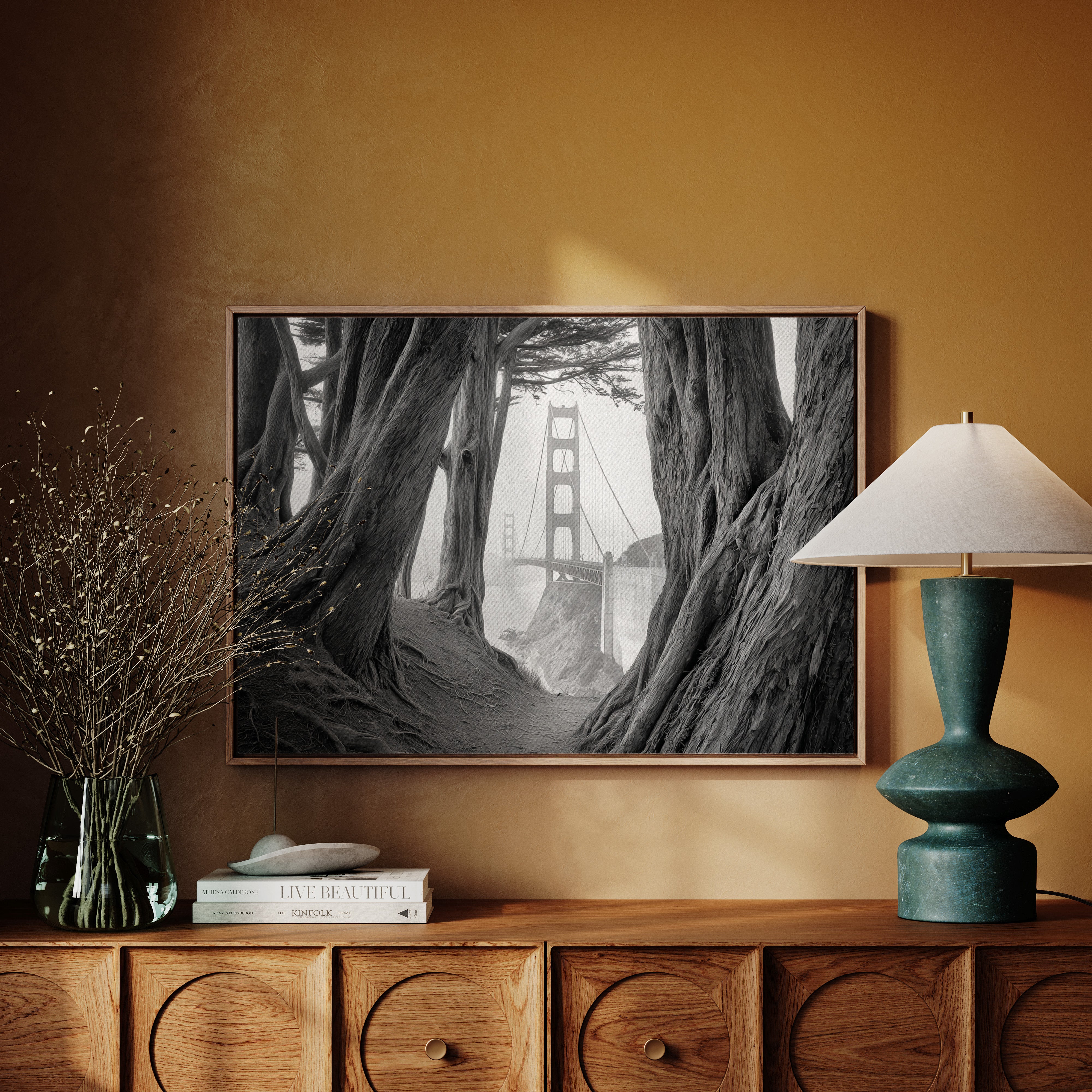 Ancient Trees Frame City Dreams