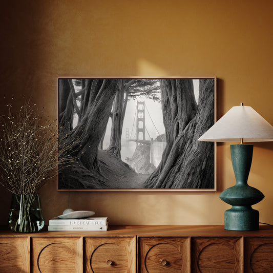 Ancient Trees Frame City Dreams