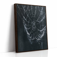 Web in the Dark