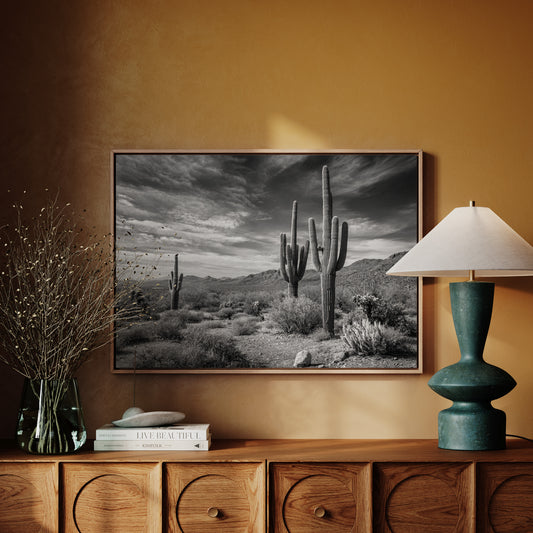 Tall Tales From Sonoran Skies