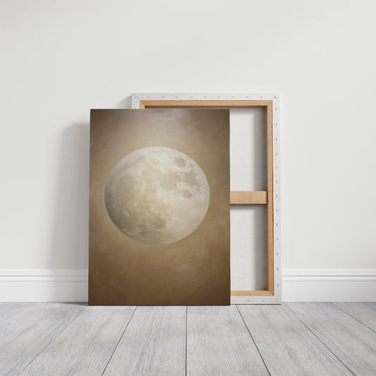 Moonlit Stories Rest Between Pages