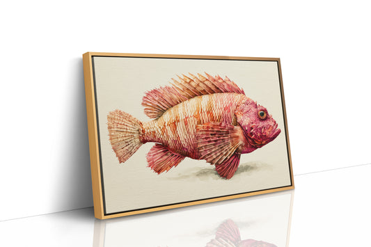 Coral Scorpionfish Study