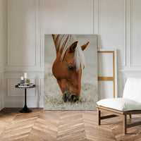 Quiet Morning Graze with Golden Mane