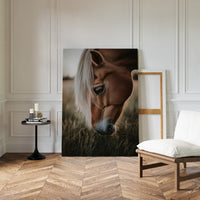 Golden Dusk and Gentle Eyes