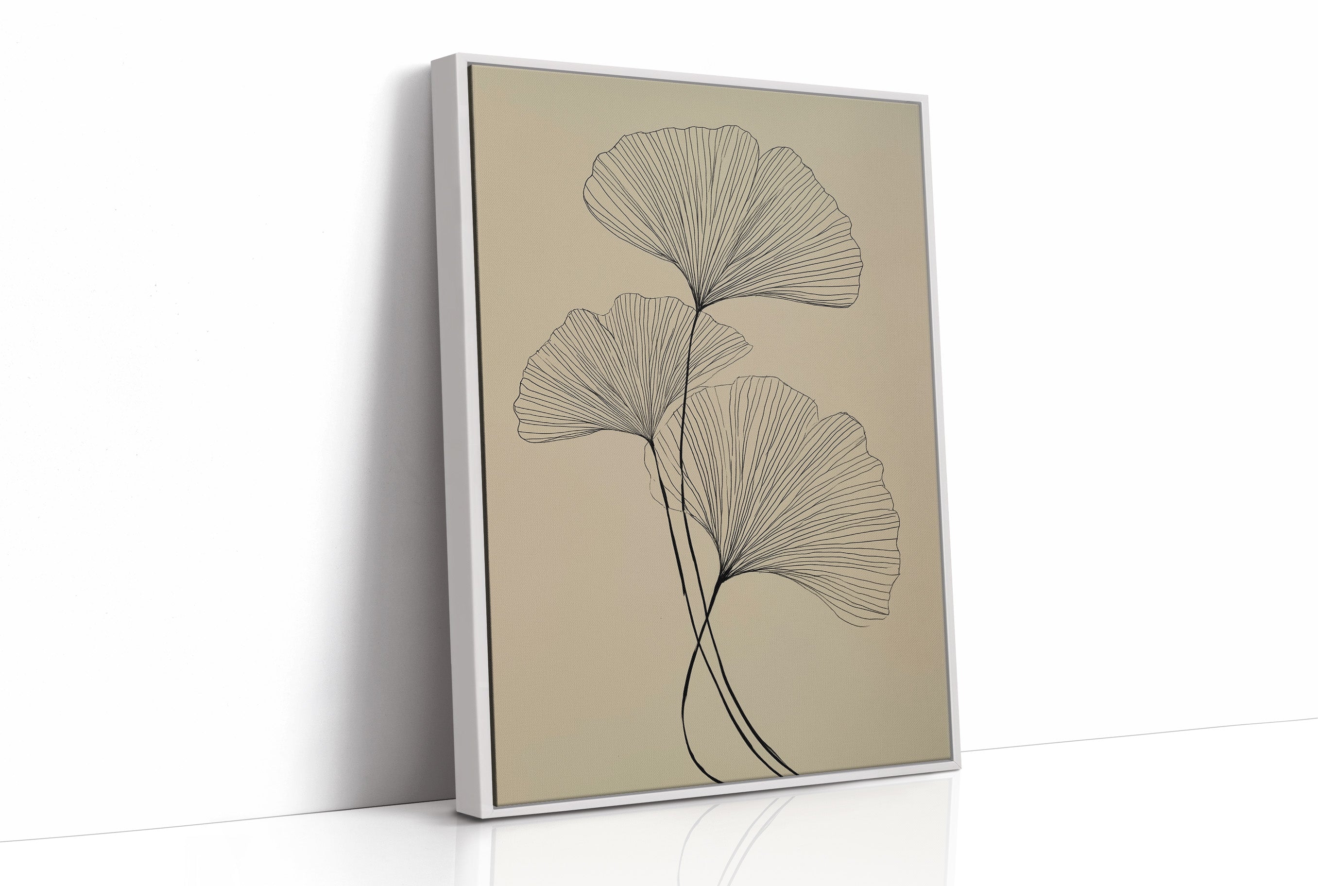 Ginkgo Lines Dance In Morning Light