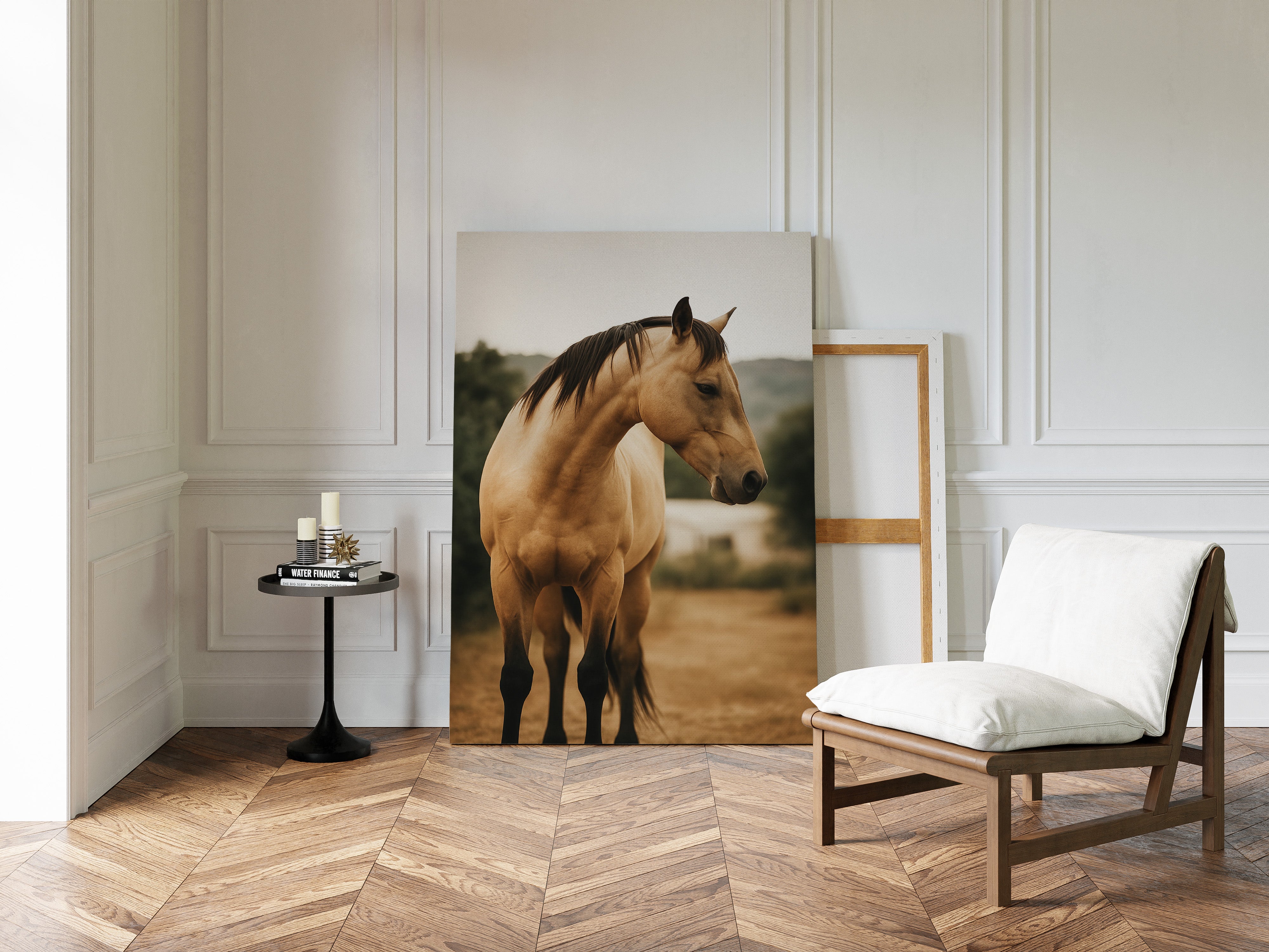 Buckskin Beauty in the Evening Light