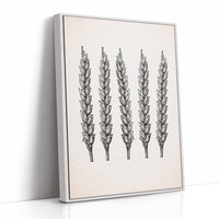 Wheat Stalks Stand in Silent Formation