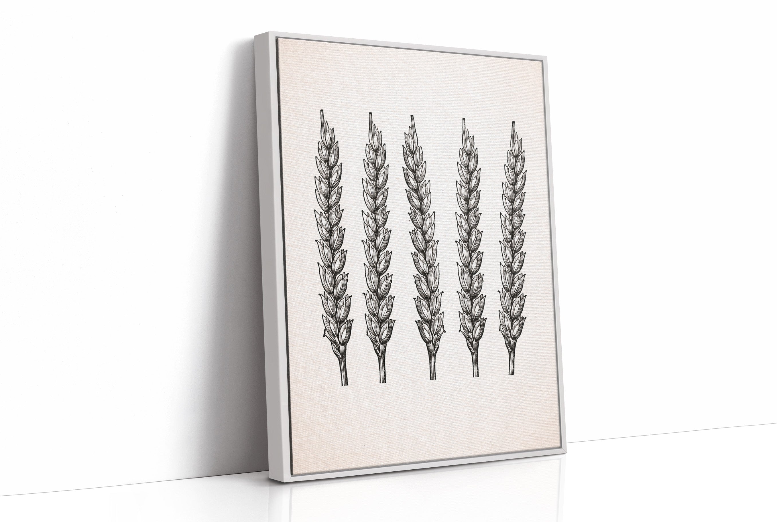 Wheat Stalks Stand in Silent Formation