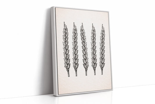 Wheat Stalks Stand in Silent Formation