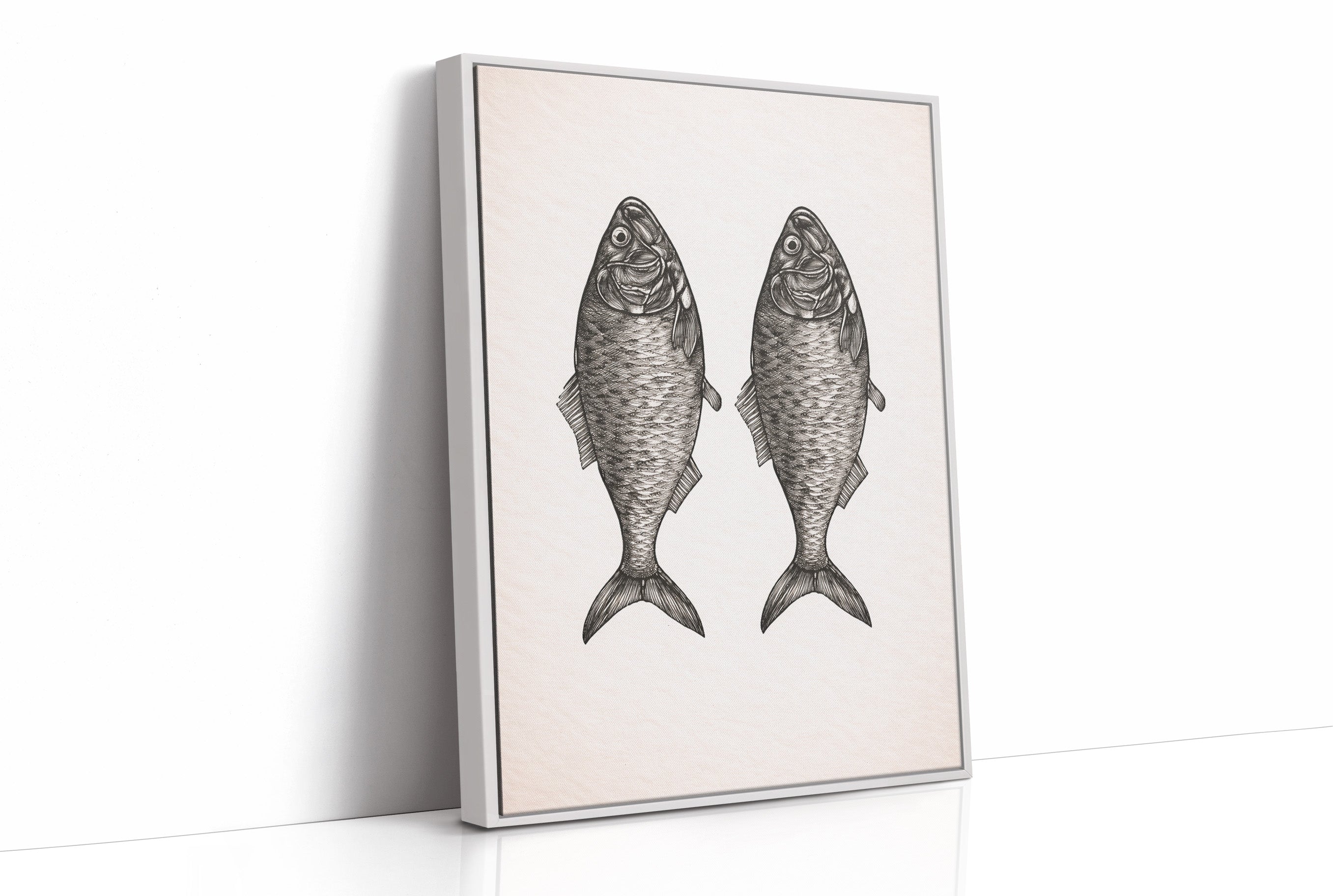Mirrored Catch: Anatomical Fish Study
