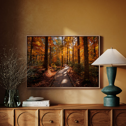 Autumn Path Weaves Golden Stories