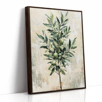 Olive Branch, Fruit and Leaf