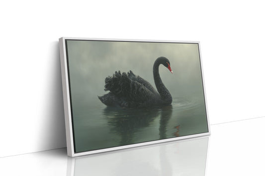 Elegant Glide Through Misty Waters