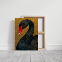 The Black Swan Knows Her Worth