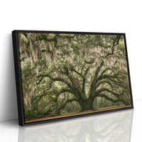 The Old Oak's Mossy Embrace