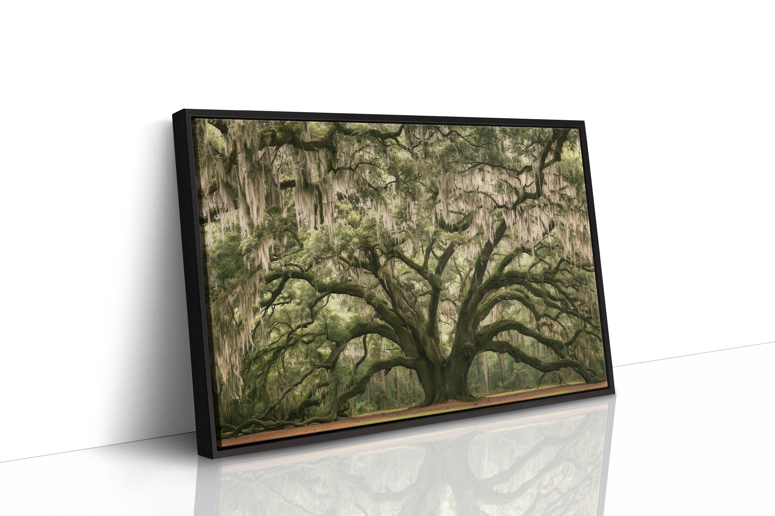 The Old Oak's Mossy Embrace