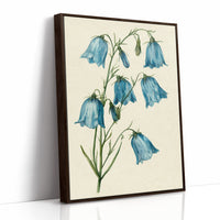 Bell Bottom Blues: A Bluebell Study