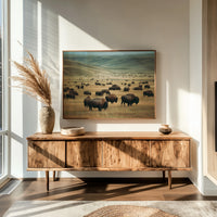 Prairie Kings Roam Ancient Ground