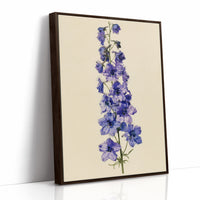 Delphinium Dreams: A Purple Study